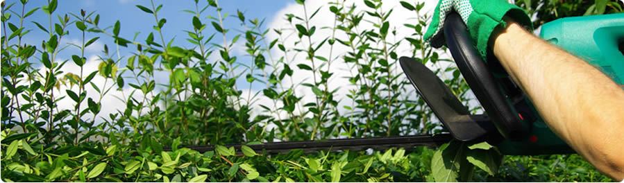 giardiniere impresa giardinaggio Senna Comasco
